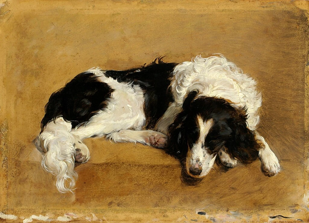 Setter sdraiato (1836) - Galleria regionale di Liberec